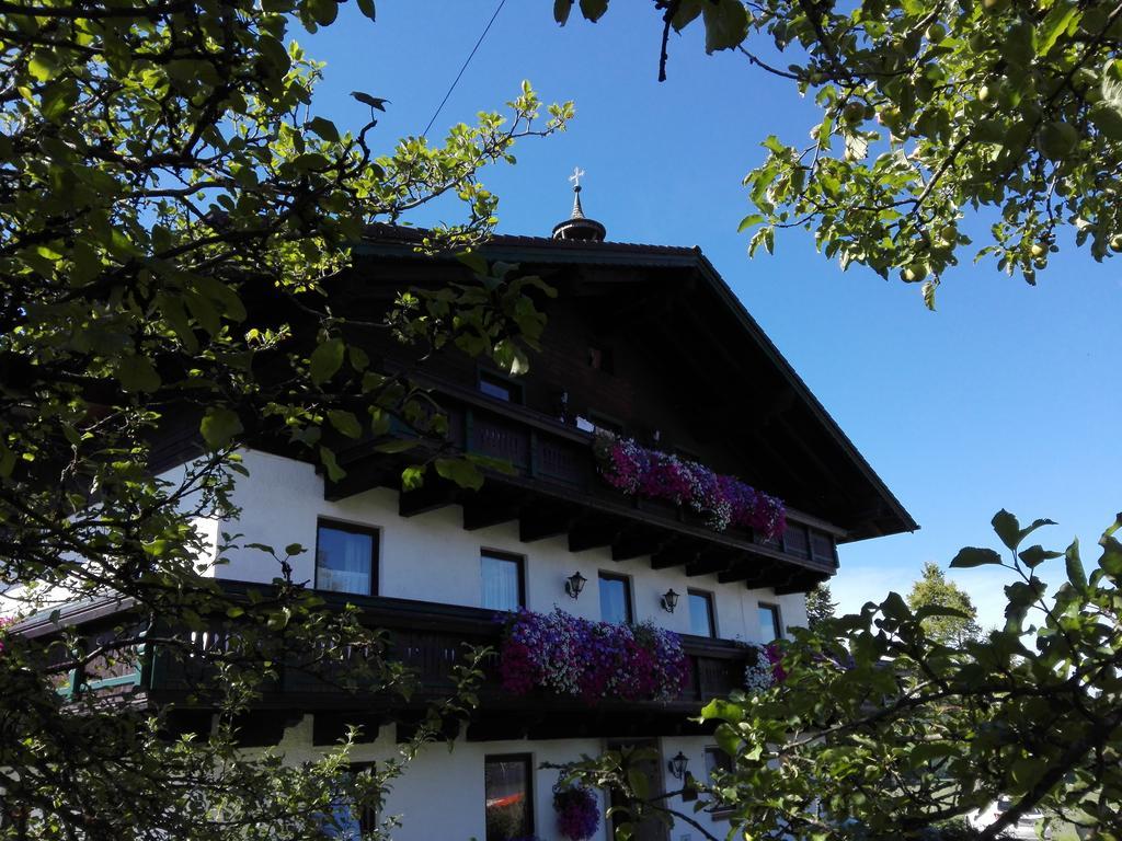 Schusterbauer Villa Koppl Eksteriør billede