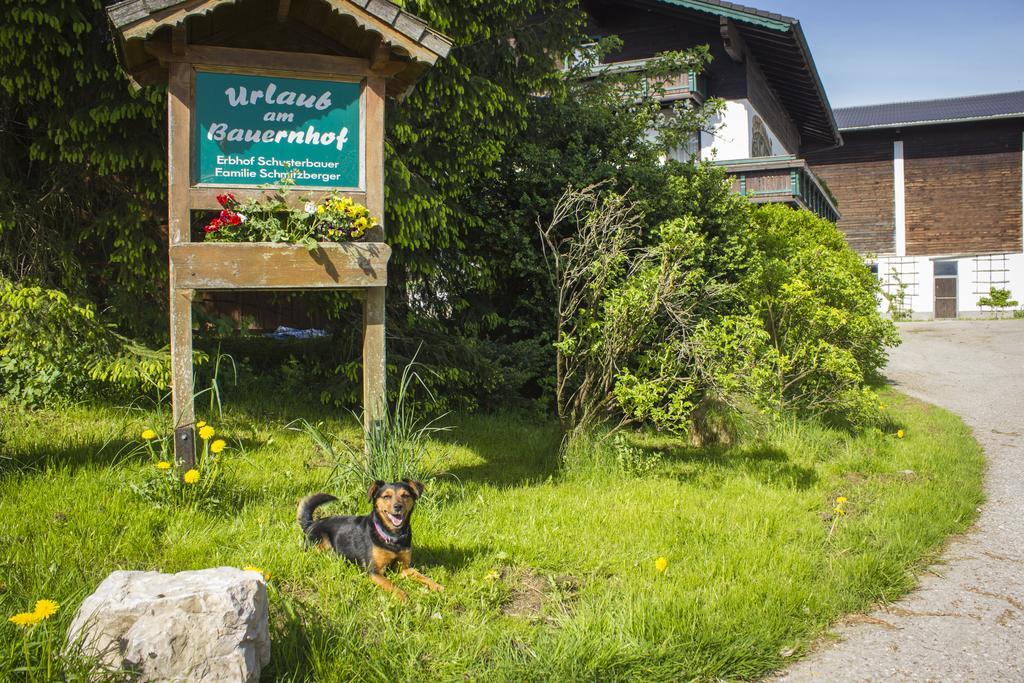 Schusterbauer Villa Koppl Eksteriør billede