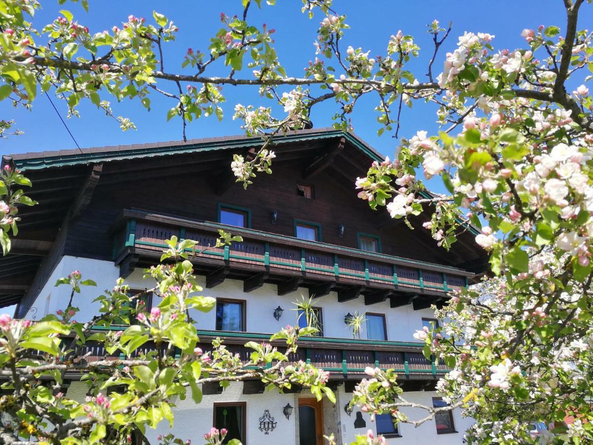 Schusterbauer Villa Koppl Eksteriør billede